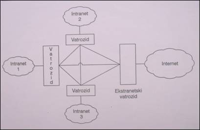 Detaljni prikaz ustroja ekstraneta
