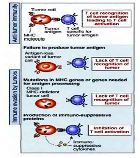 Nacini kako tumori izbegavaju imuni odgovor