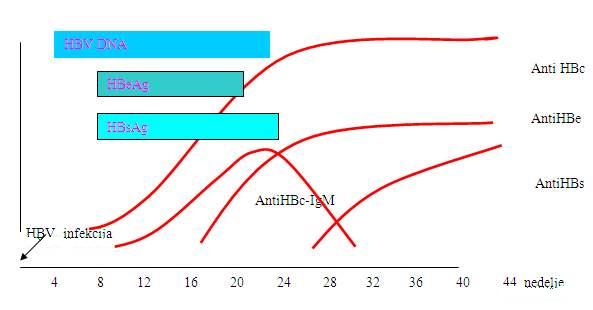 Virusni markeri kod virusnog hepatitisa B