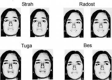 Izrazi lica facijalna ekspresija